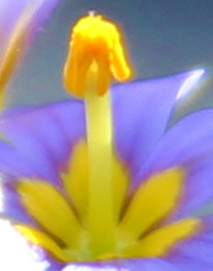 Austin Fine Art Photography