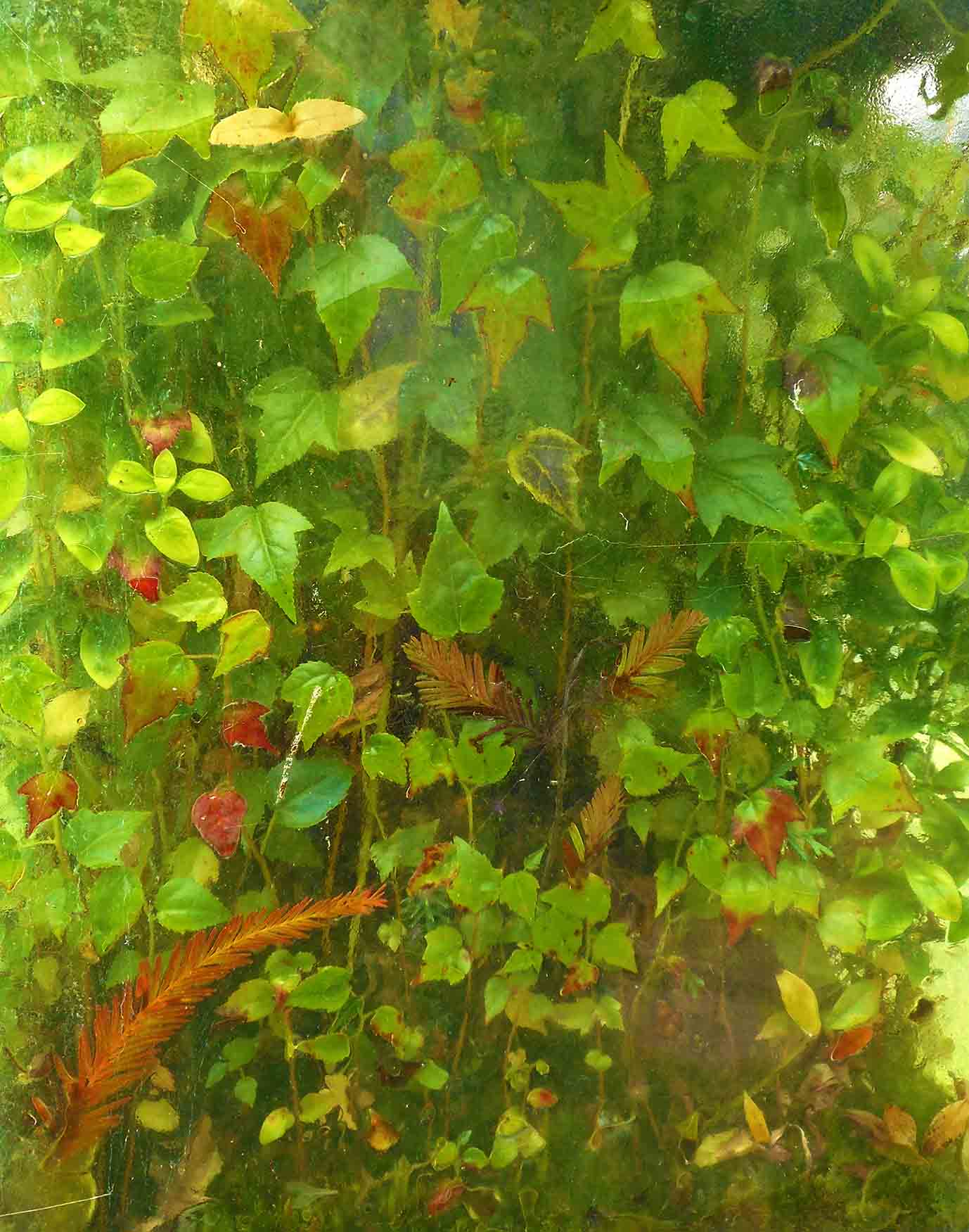 Art Wall full of living trees between wall