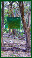 Austin Art Events