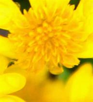 Austin Seo Web Design